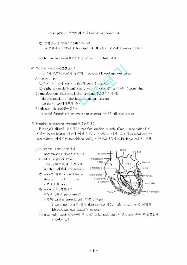 [조직학] 심장순환계의 조직학 (Histology of Cardiovascular System).hwp